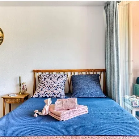 Les Regates Avec Loggia Et Parking Gratuit Du Grazel Lejlighed *